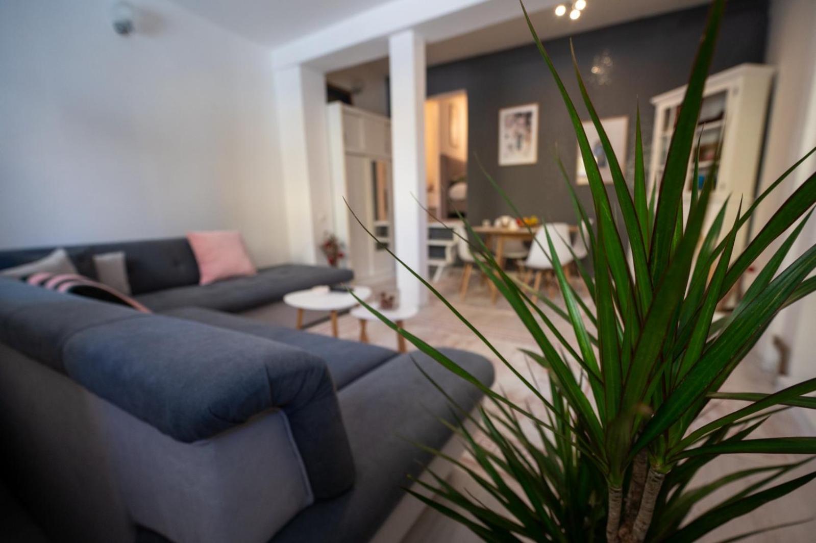Miljacka Apartment